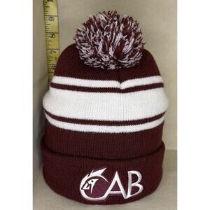 Hit Wear Beanie Adult Letter CAB Embroidered Hat Knit Acrylic Striped